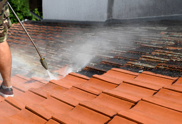 Best Deck Pressure Washing  in Shenandoah Heights, PA