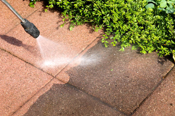 Local Pressure Washing Services in Shenandoah Heights, PA